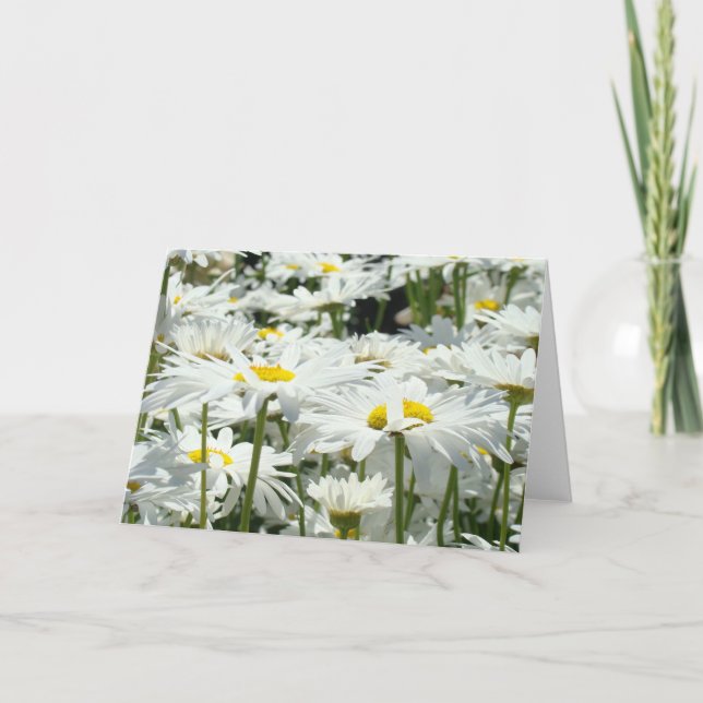 Cartões de Saudação Flores de Margarida Branca Per (Frente)