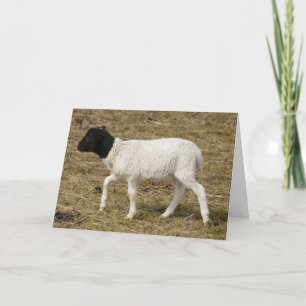 Cartões de saudação HAMbWG - Preto/Branco