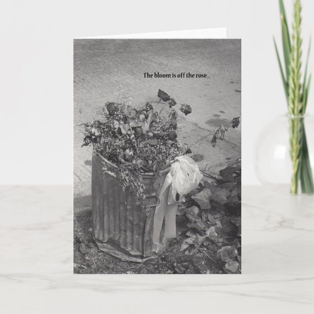 Cartões de Saudação Humorísticos (Frente)