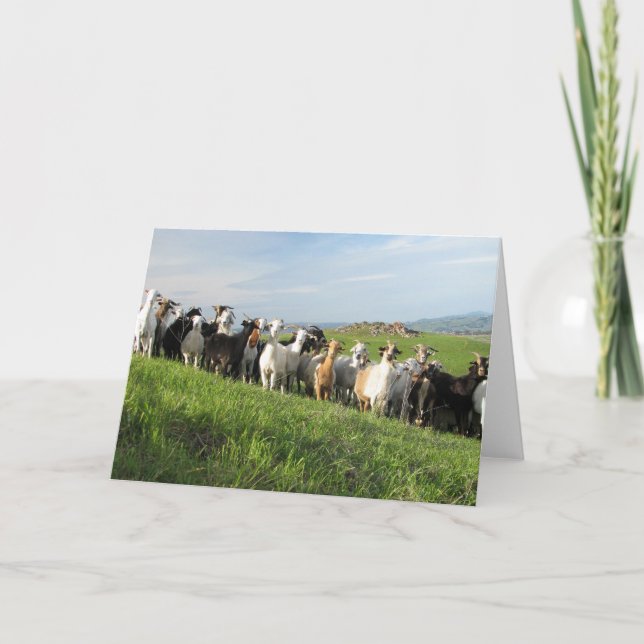 Cartões de saudação NGIP (Frente)