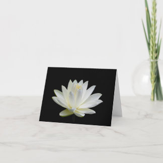 Cartões de Saudação Nota em Branco com Lírio de Ág