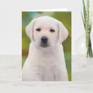 Cartões de saudação Puppy do Labrador Amarelo Retr