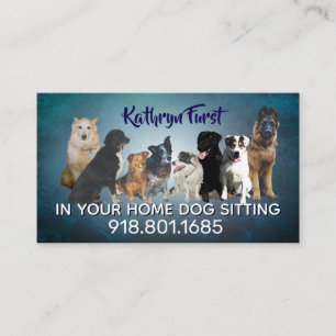 cartões de visita de pet sitting