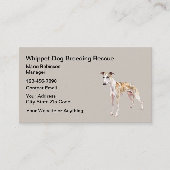 Cartões de Visita de Resgate de Cães Whippet (Frente)
