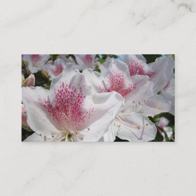 Cartões de Visita Flores de Azaléia Rosa Branca (Frente)