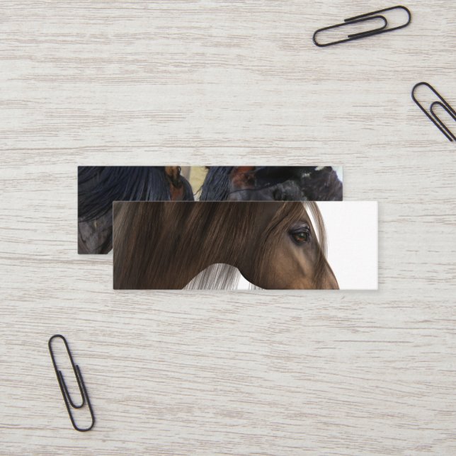 Cartões de visitas (Frente/Verso In Situ)