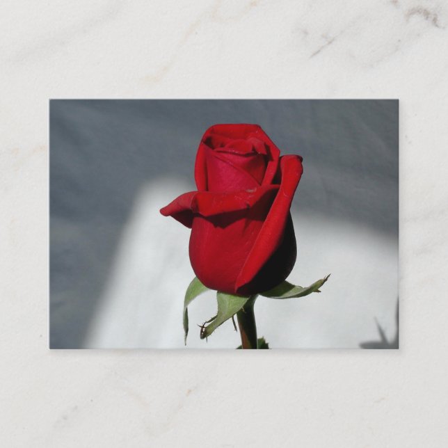 Cartões de visitas (Frente)