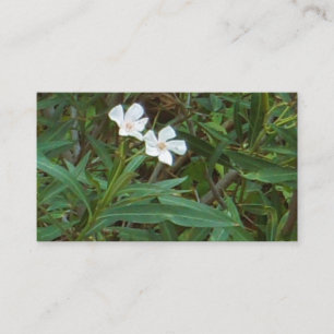 CARTÕES DE VISITAS ART E DESIGN