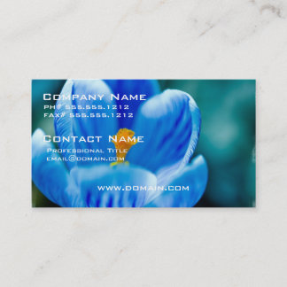 Cartões de visitas azuis do açafrão