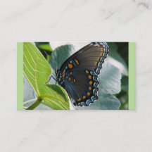Cartões de visitas borboletas