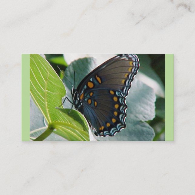 Cartões de visitas borboletas (Frente)