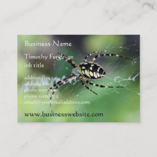 Cartões de visitas carnudos da aranha