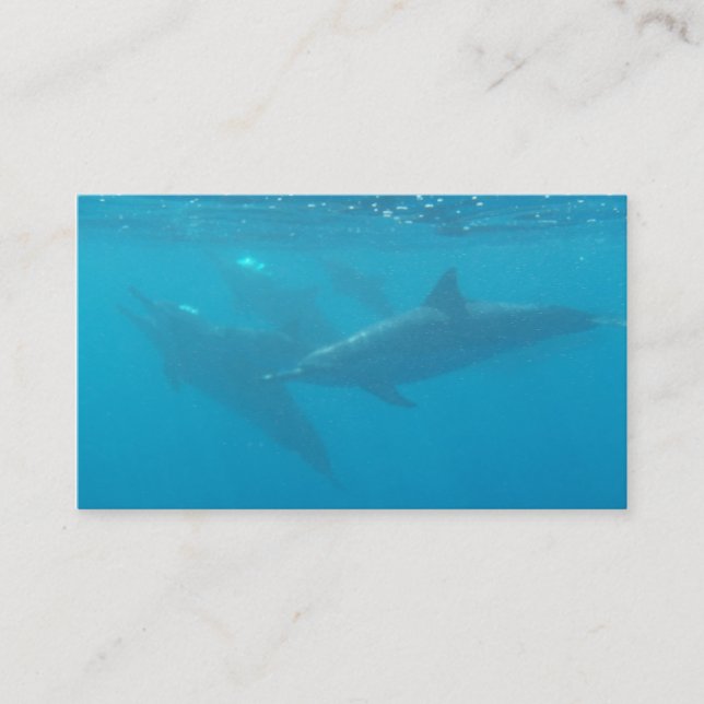 Cartões de visitas customizáveis da empresa de (Frente)