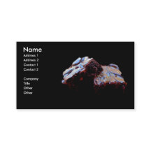 Cartões de visitas da brownie