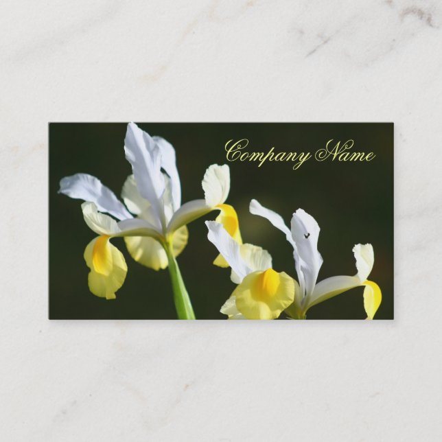 Cartões de visitas da íris (Frente)