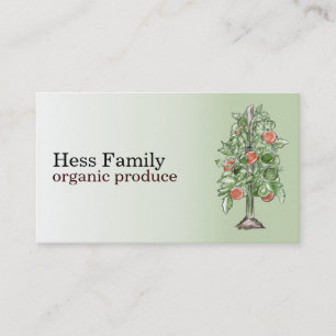 Cartões de visitas da planta de tomate