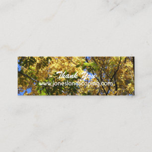 Cartões de visitas da silvicultura