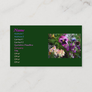 Cartões de visitas de amigos Pansy n'