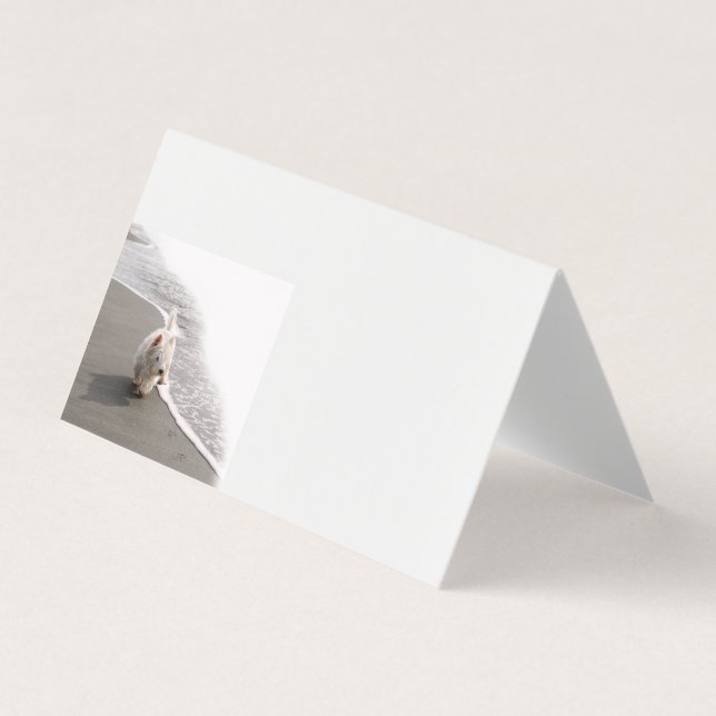 Cartões de visitas de Foto em Beachcombing Westie (Frente)