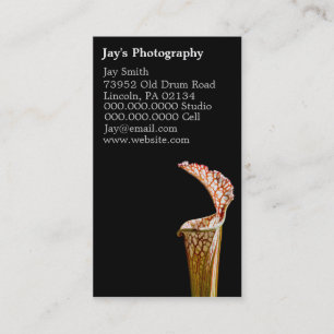 Cartões de visitas de fotografia