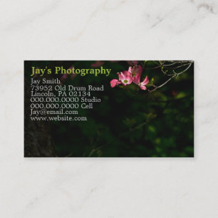 Cartões de visitas de fotografia modelo