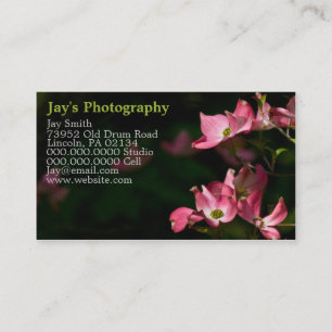 Cartões de visitas de fotografia modelo