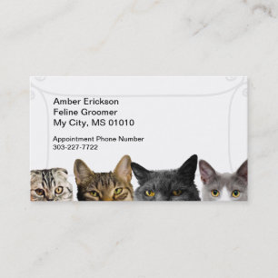Cartões de visitas de Gato