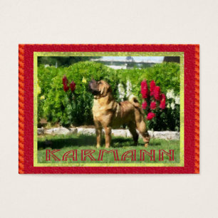 Cartões de visitas de Jetta Shar-pei