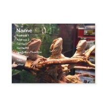 Cartões de visitas de Leezerds