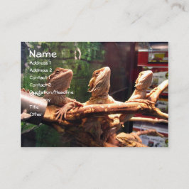 Cartões de visitas de Leezerds