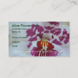 Cartões de visitas de Orquídeas Roxas