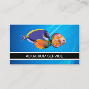 Cartões de visitas de peixes tropicais do Aquári