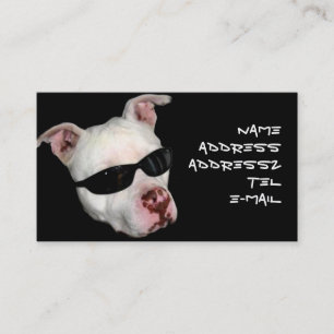 Cartões de visitas de Pitbull