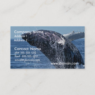 Cartões de visitas de salto da baleia de Humpback