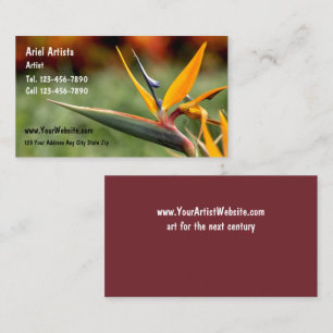 Cartões de visitas do artista