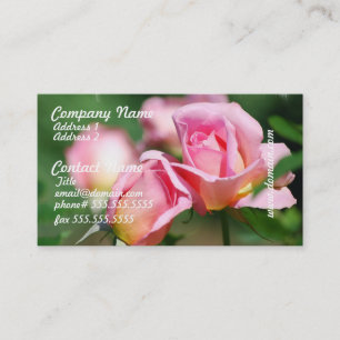 Cartões de visitas do botão do rosa do rosa
