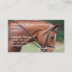 Cartões de visitas do cavalo da mostra da castanh
