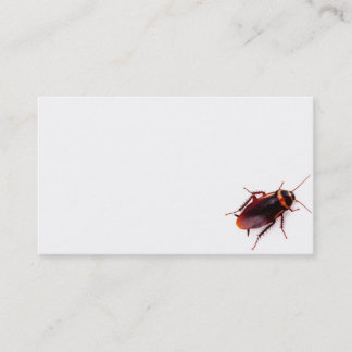 Cartões de visitas do Exterminator (barata)