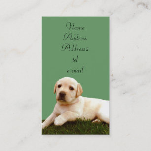 Cartões de visitas do filhote de cachorro de