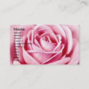 Cartões de visitas do rosa do rosa
