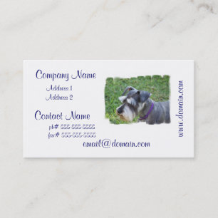 Cartões de visitas do Schnauzer