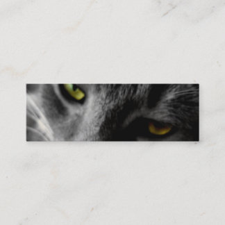 Cartões de visitas dos olhos de gato