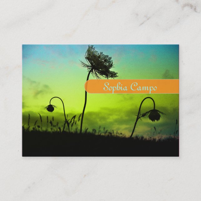 cartões de visitas Fotógrafos (Frente)