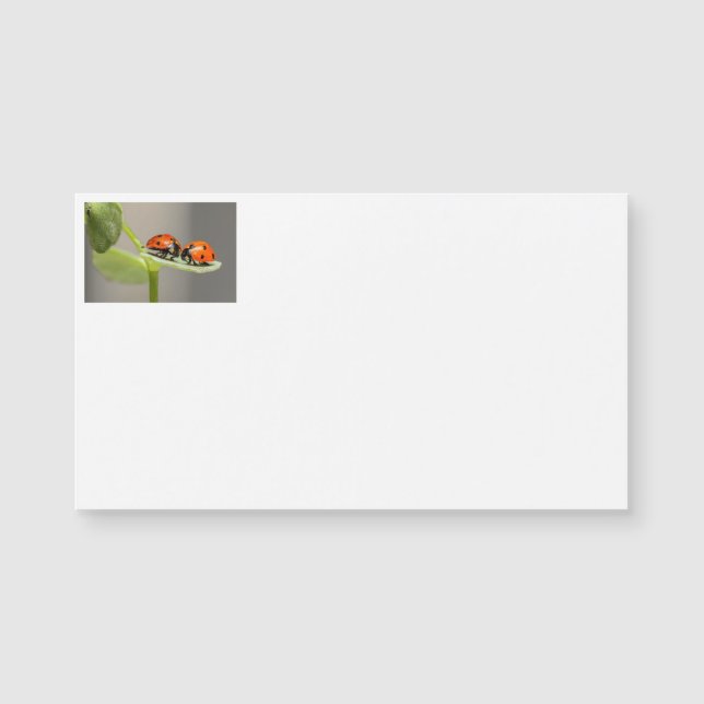 Cartões de visitas Lady Bugs (Frente)