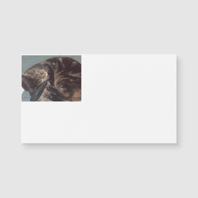 Cartões de visitas Magnéticos Dave Reproduzíveis ( (Frente)