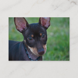 Cartões de visitas mínimos do Pin