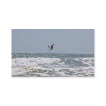 Cartões de visitas oceânicas