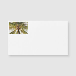 Cartões de visitas Palm Tree