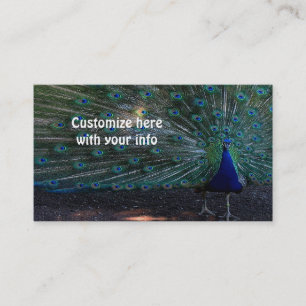 cartões de visitas Pavão