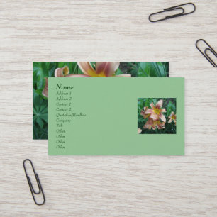 Cartões de visitas Peach Daylily